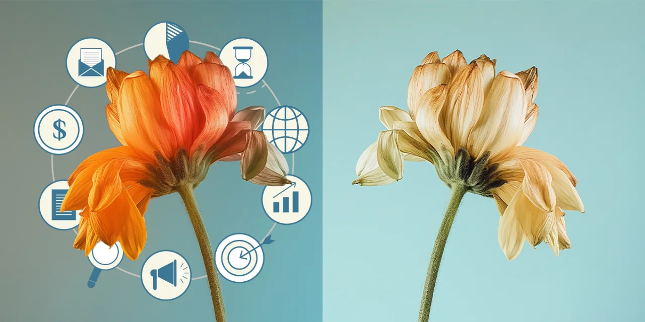 Rolul anunțurilor plătite în 2025