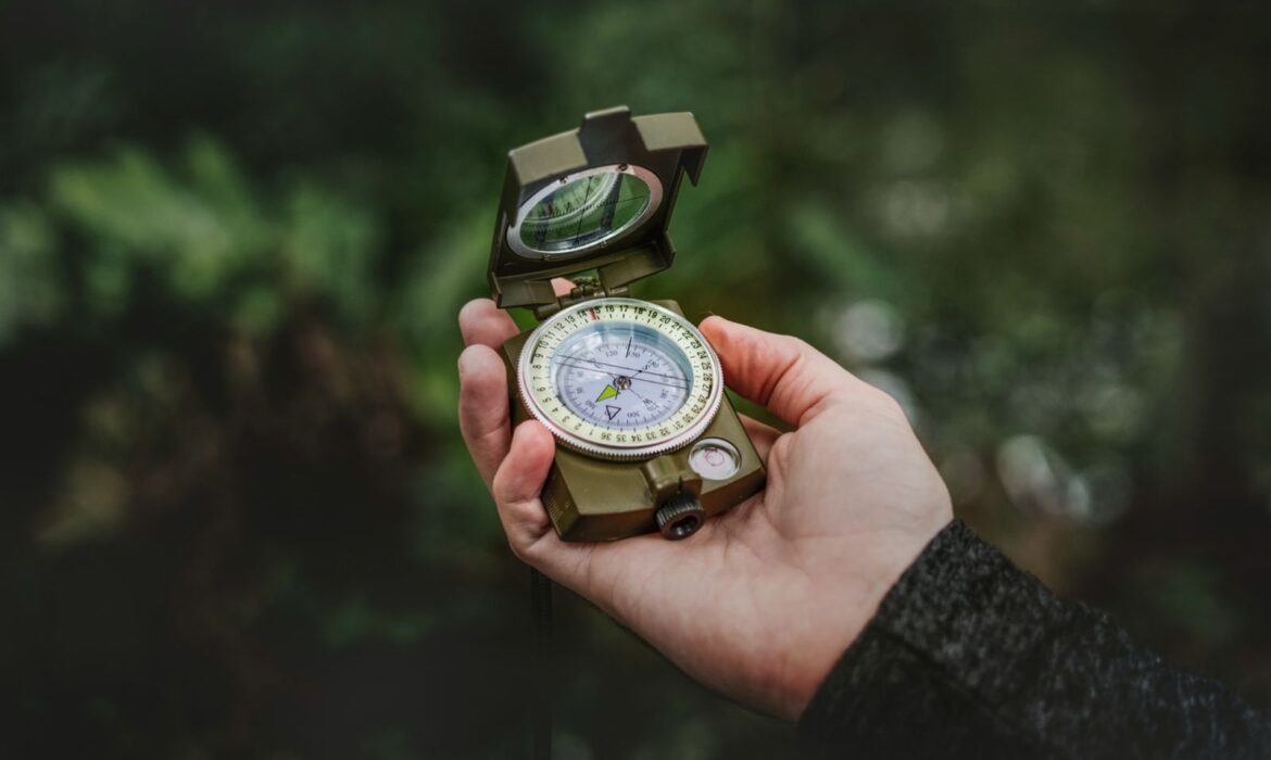 Jungla marketingului și harta care te ajută să o străbați